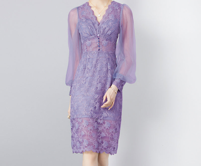 Elegant Lace Mesh Dress with Sheer Sleeves
